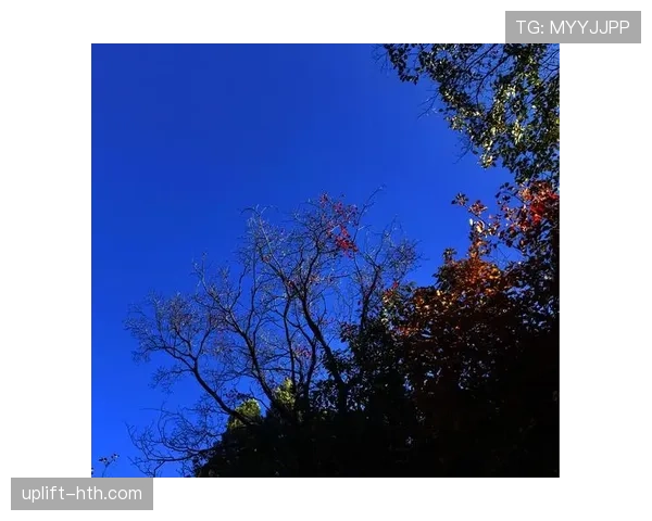 酋长球场新星闪耀，助力球队持续推进胜利征程